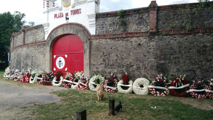 orduña plaza toros.jpg