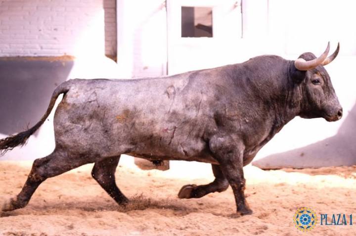 Palmireño segundo de la tarde para Pepe Moral.jpg