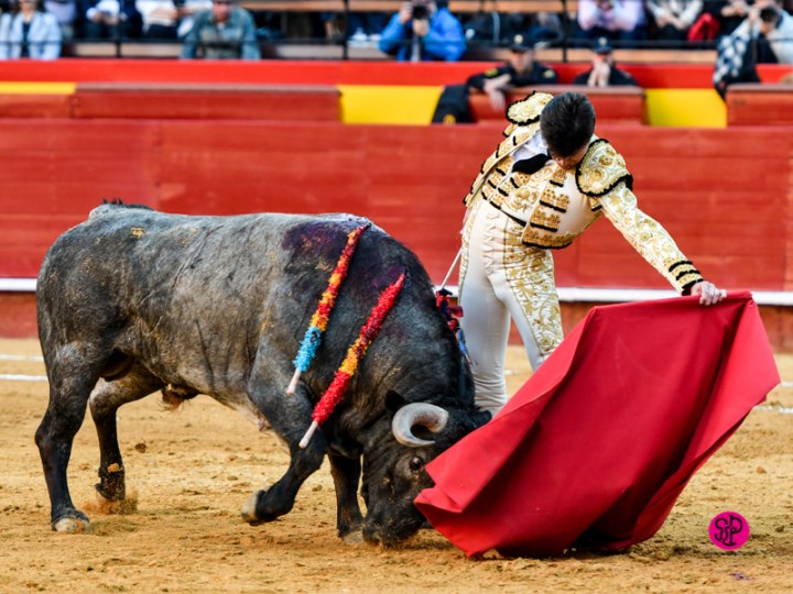 2854cbc7-463e-4246-a46f-df6c78099974