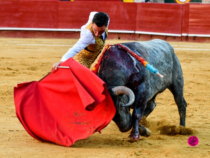 4d7a854f-0d29-4dc8-a943-716e9f154ce3