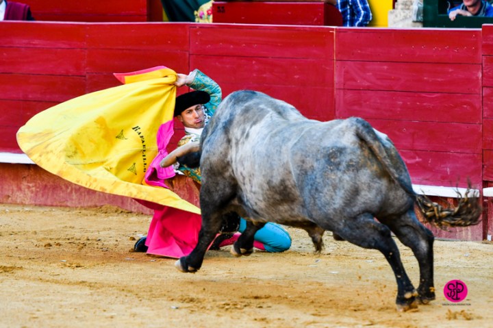 cc33ff73-bb13-41db-abde-0071d371b2de