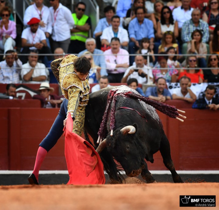 antonio grande salamanca.jpg