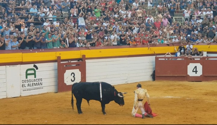 Screenshot_20190926-200500_Video Player