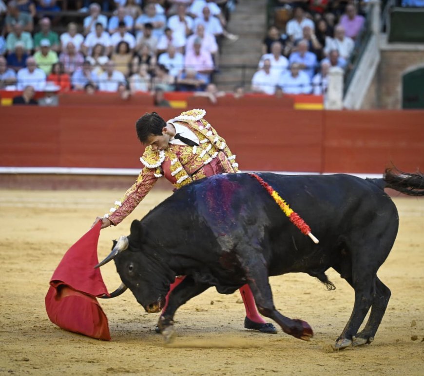 Samuel Navalón Feria de Julio 2024