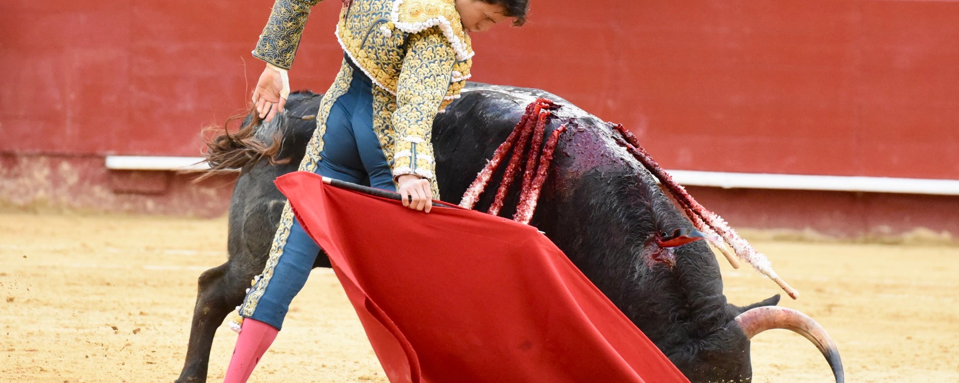 ROCA REY EN VALENCIA FALLAS 2025 TORO FRENOSO DE VICTORIANO DEL RÍO